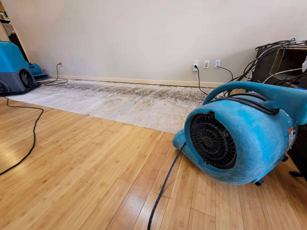 Professional Ceiling Water Damage Repair technician working in Marlboro, NJ